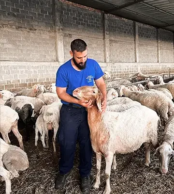 Ανθεκτικότητα